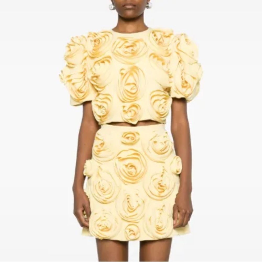 NWT Luxe Dress Rose-appliqué Cropped Top / Skirt Set In Gelb Yellow Large